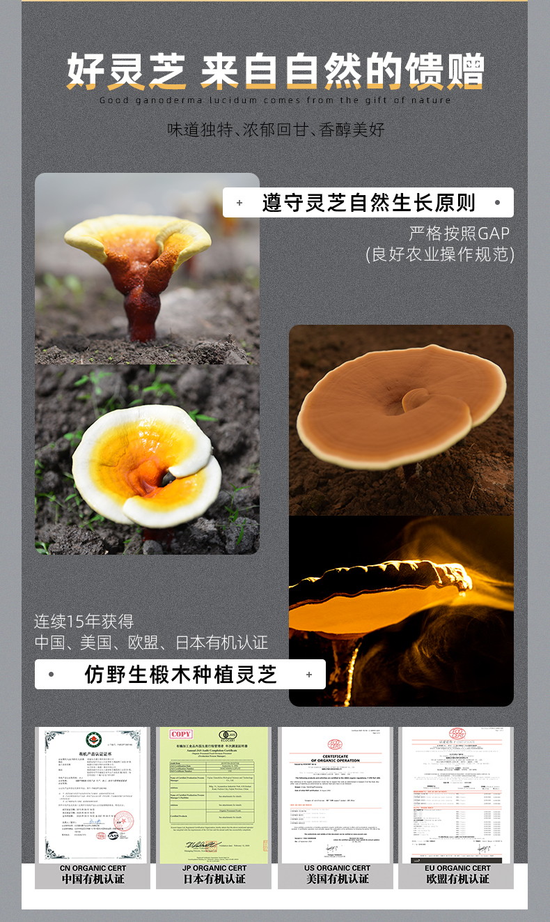 靈芝拿鐵